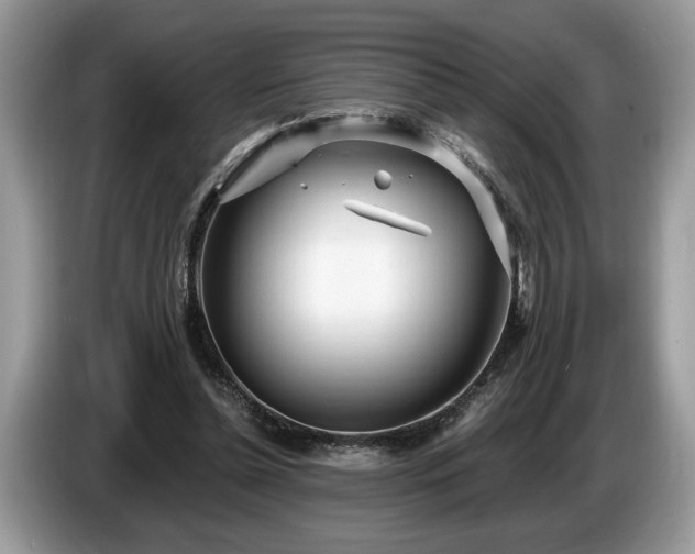 X0000087570348200704271251