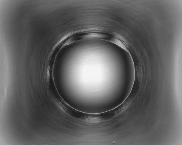 X0000087570350200704271251