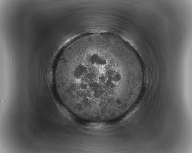 X0000087570351200704271251