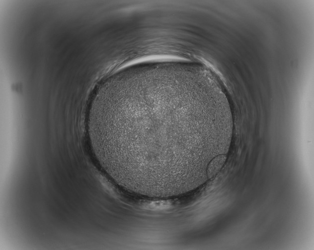 X0000087570353200704271251