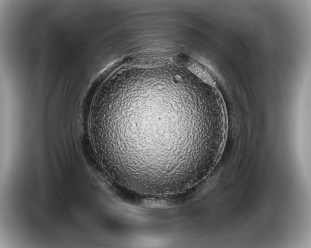 X0000087570354200704271251