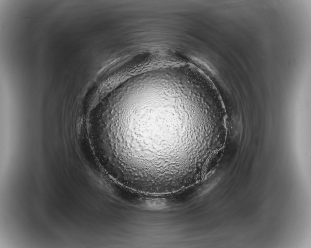 X0000087570355200704271251