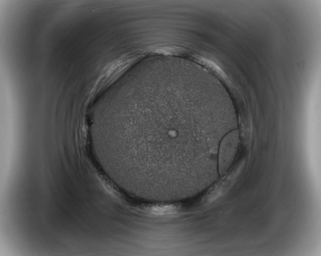X0000087570357200704271251