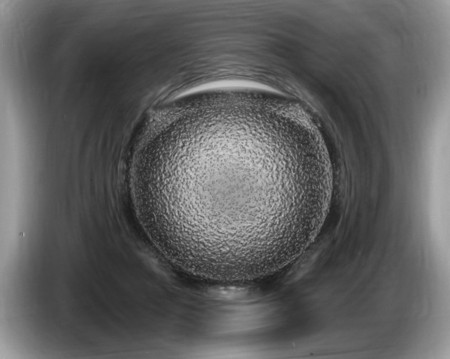 X0000087570361200704271251