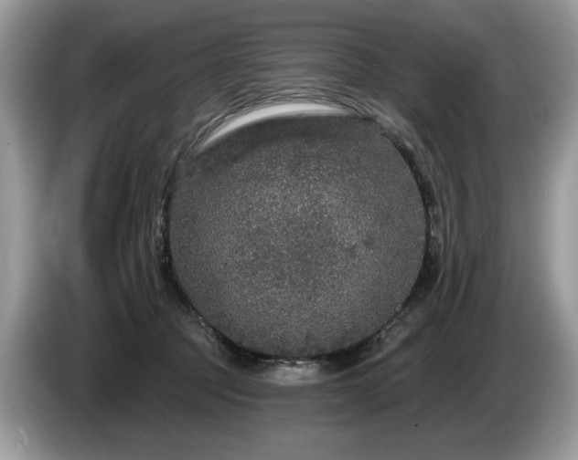 X0000087570369200704271251