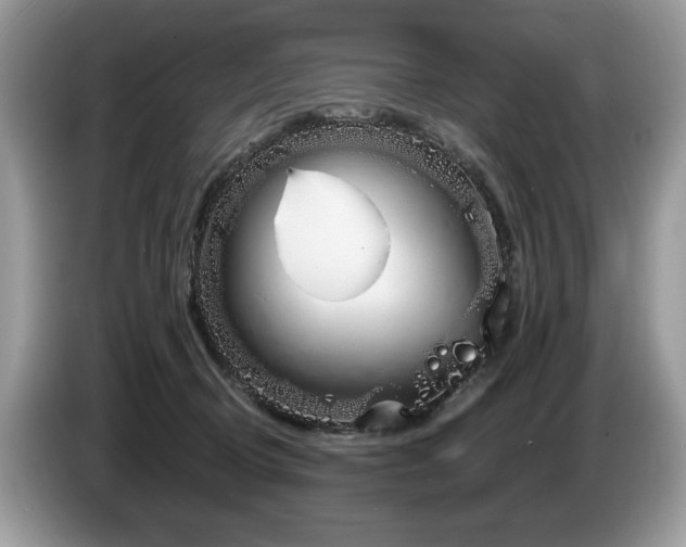 X0000087570370200704271251