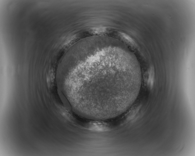 X0000087570372200704271251