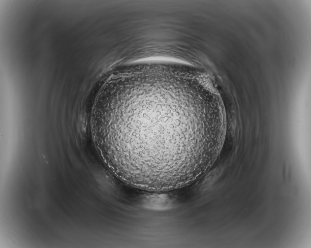 X0000087570374200704271251