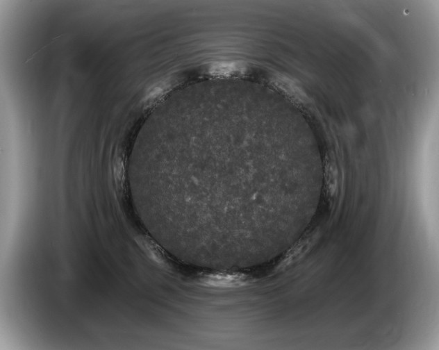 X0000087570375200704271251