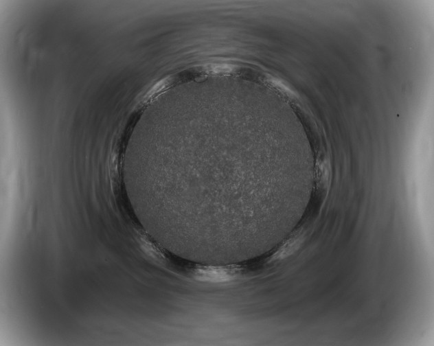 X0000087570381200704271251