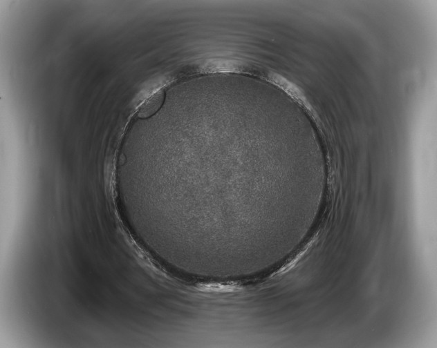 X0000087570386200704271251