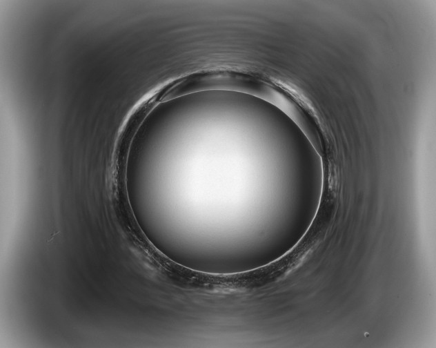 X0000087570388200704271251