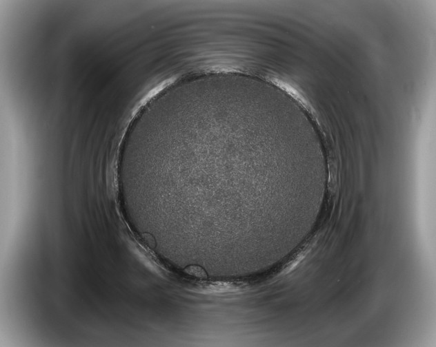 X0000087570390200704271251