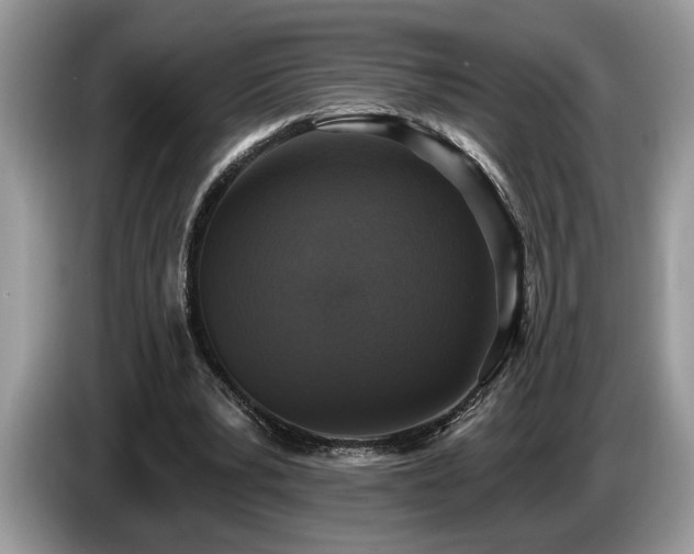 X0000087570391200704271251