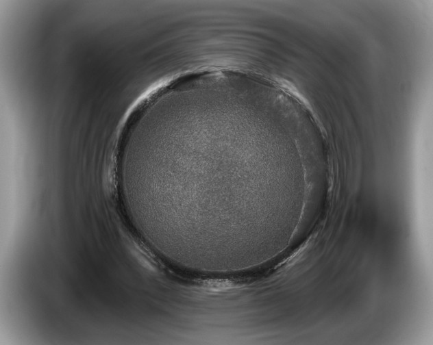 X0000087570392200704271251