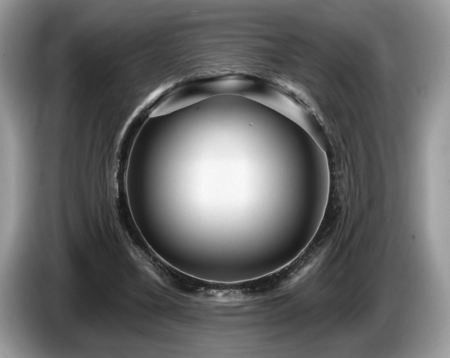 X0000087570395200704271251