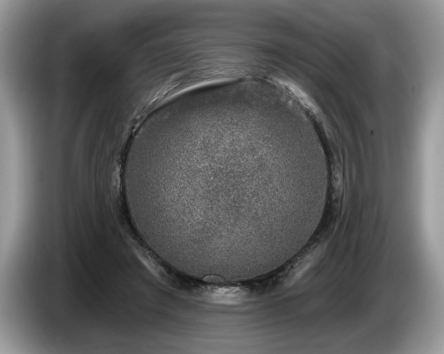 X0000087570401200704271251