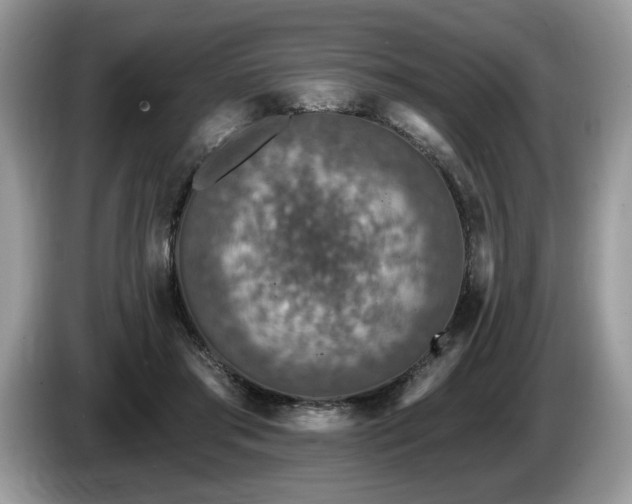 X0000087570405200704271251