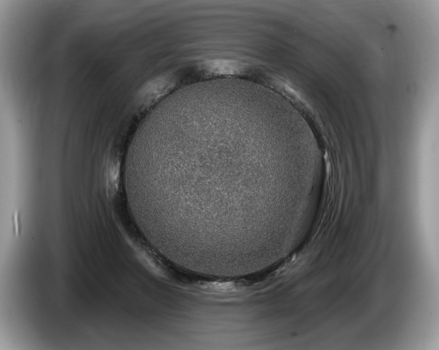 X0000087570406200704271251