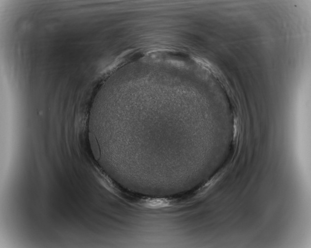 X0000087570409200704271251
