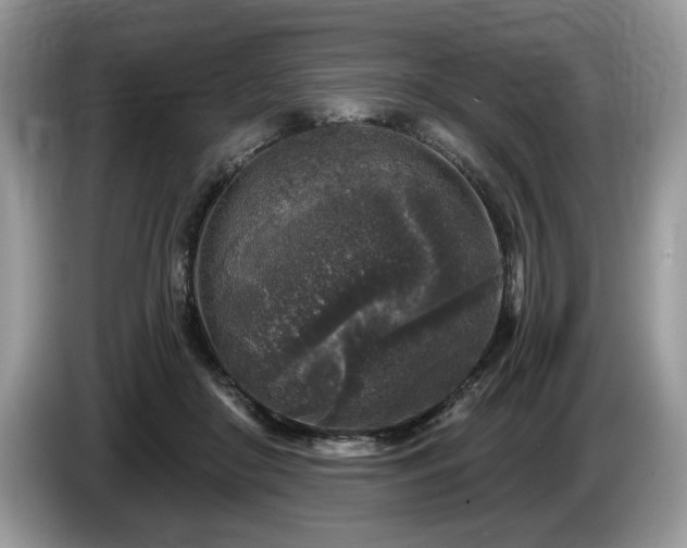 X0000087570410200704271251