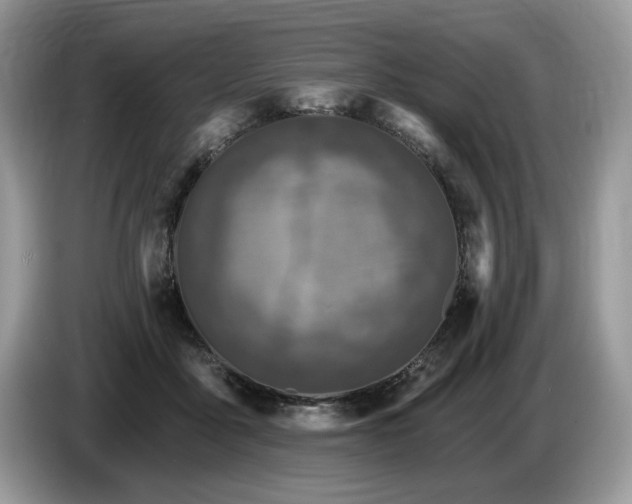 X0000087570411200704271251
