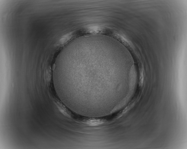 X0000087570413200704271251