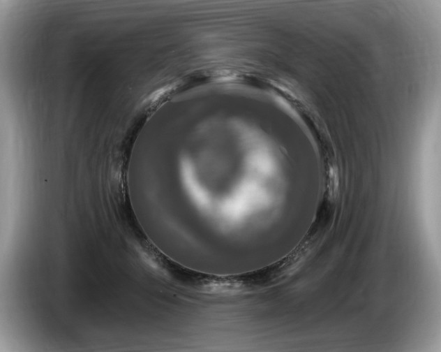 X0000087570415200704271250