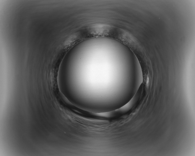 X0000087570416200704271250