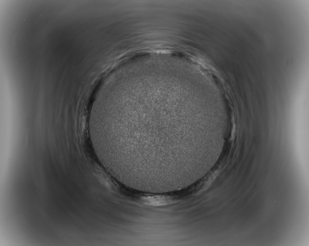 X0000087570417200704271250