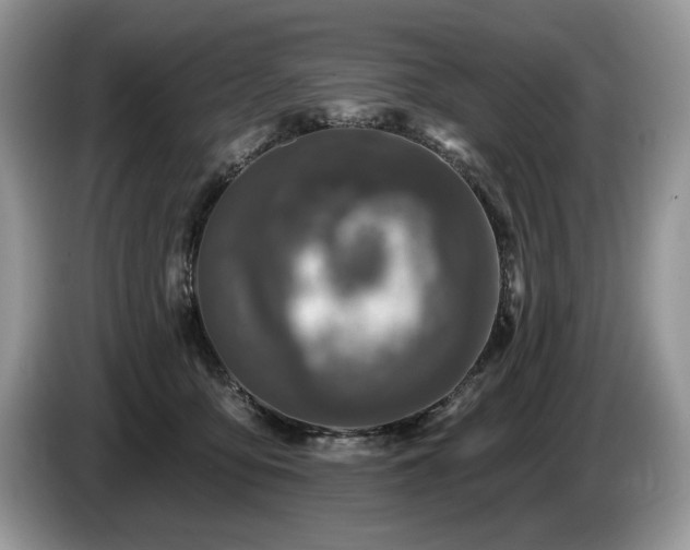 X0000087570419200704271250