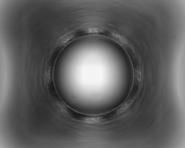 X0000087570422200704271250