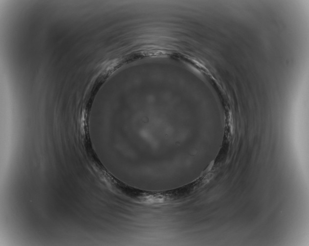 X0000087570423200704271250