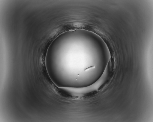 X0000087570424200704271250