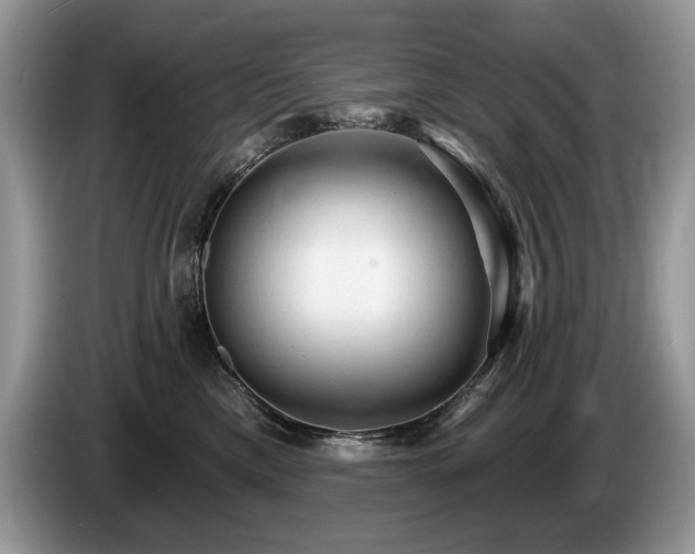 X0000087570425200704271250