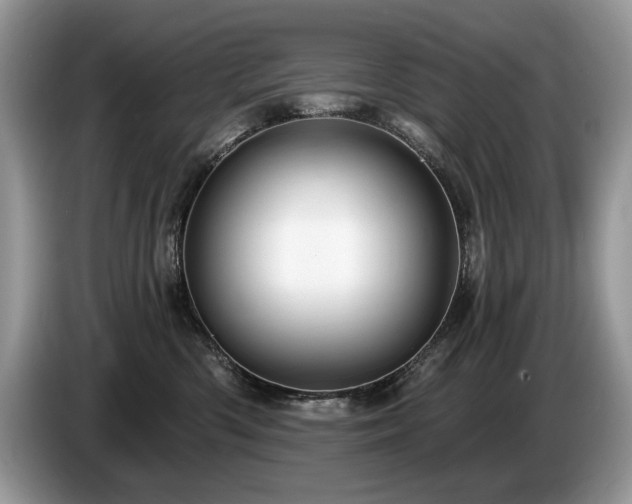 X0000087570426200704271250
