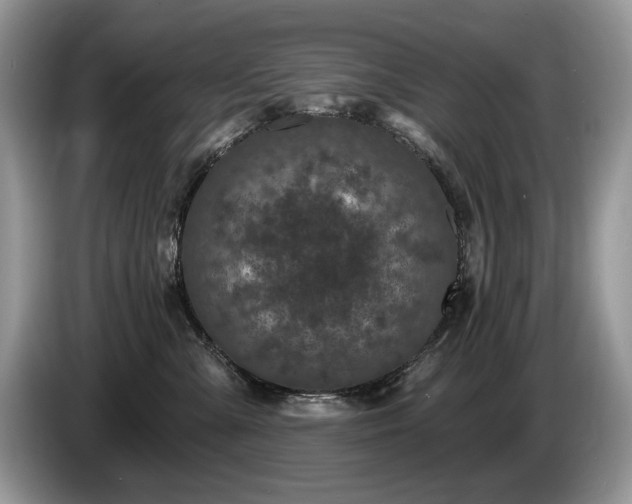 X0000087570427200704271250