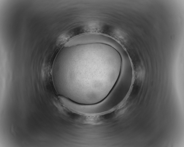 X0000087570429200704271250