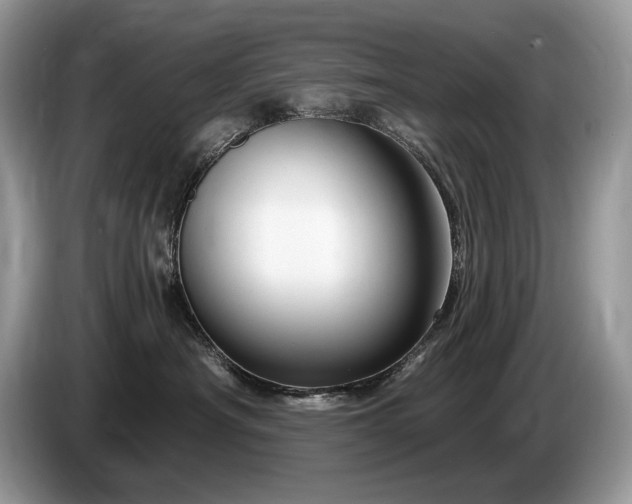 X0000087570430200704271250