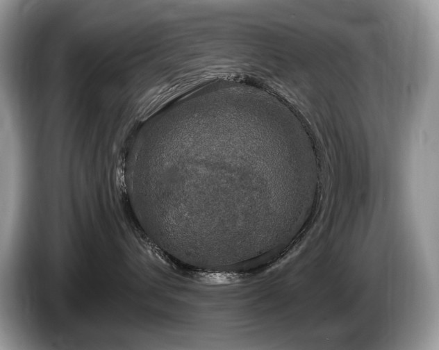 X0000087570432200704271250