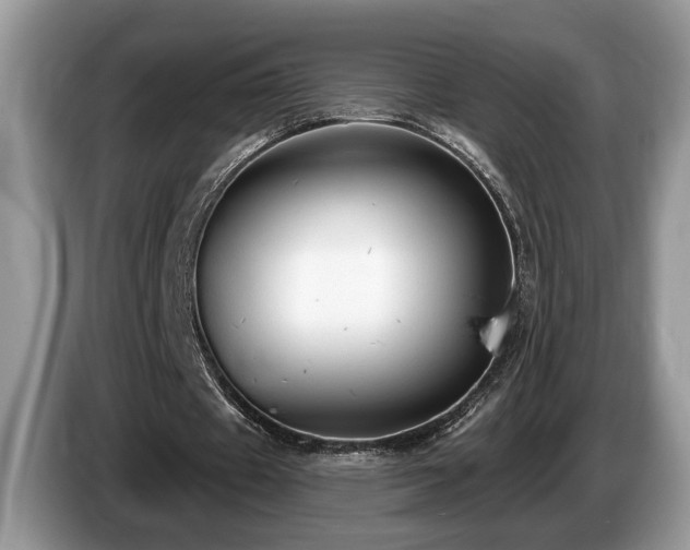 X0000087570433200704271250