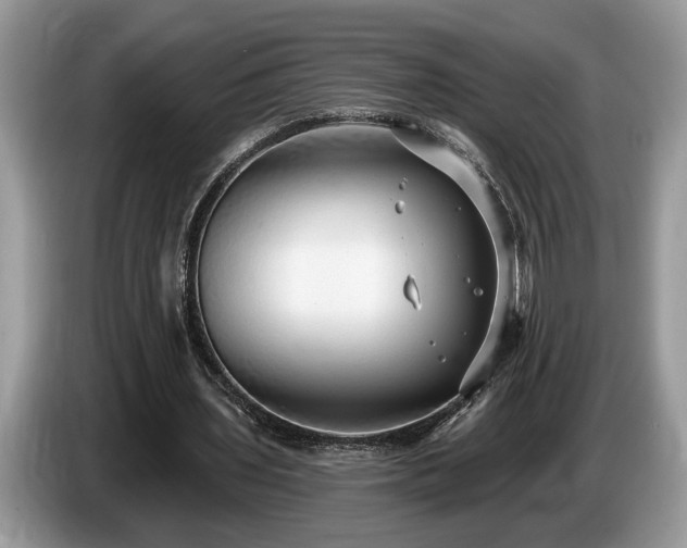 X0000087570435200704271250