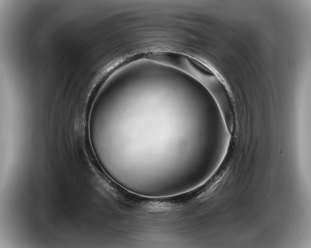 X0000087570437200704271250