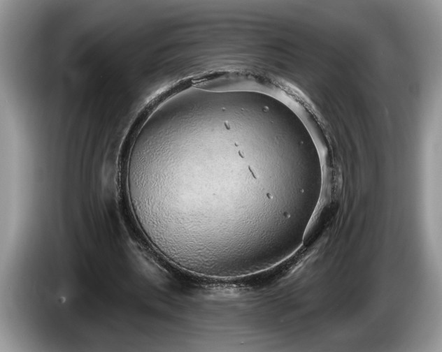 X0000087570439200704271250