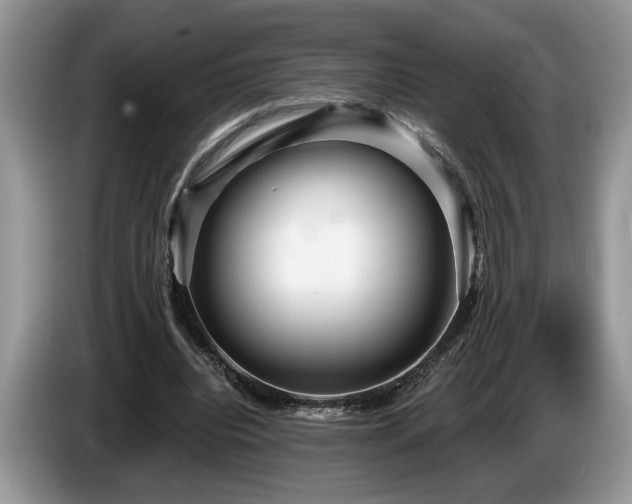 X0000087570440200704271250