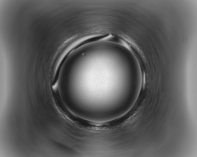 X0000087570442200704271250
