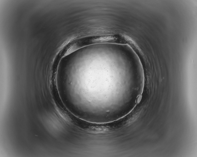 X0000087570443200704271250