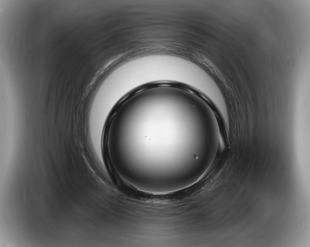 X0000087570444200704271250