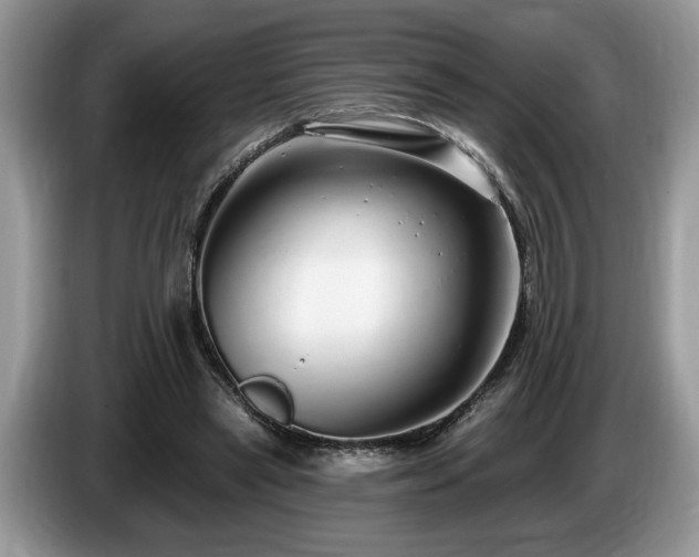 X0000087570445200704271250