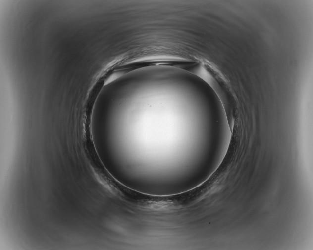 X0000087570446200704271250